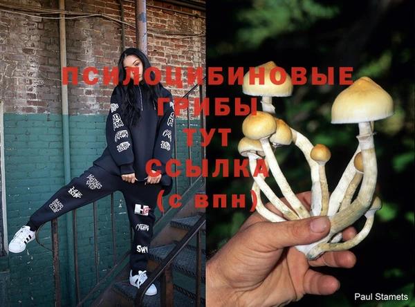 мяу мяу мука Лихославль