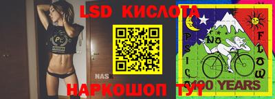 прущие грибы Краснодар