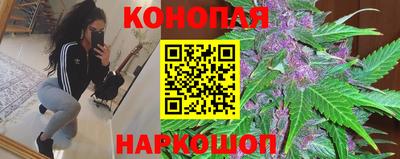 прущие грибы Краснодар