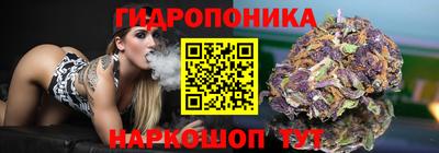 прущие грибы Краснодар