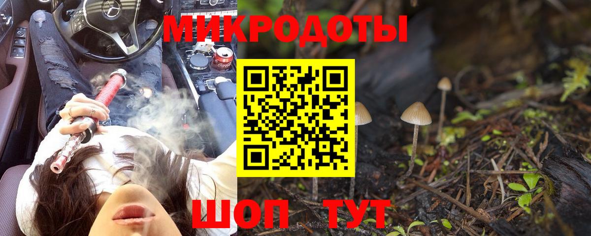 Псилоцибиновые грибы Psilocybine cubensis Туапсе