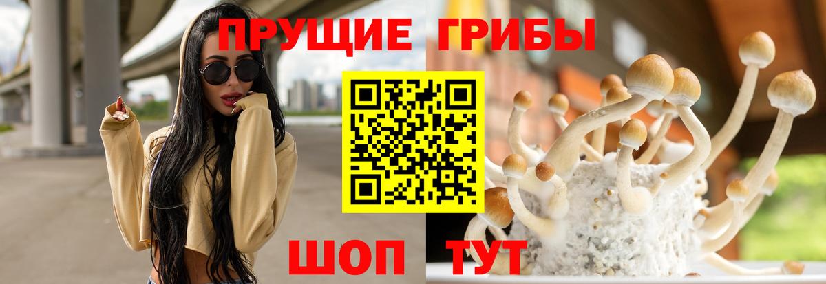Туапсе  Галлюциногенные грибы Psilocybine cubensis  Вход с VPN 